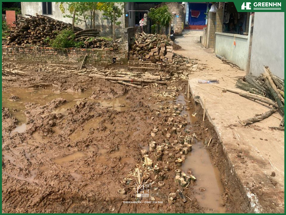 Đất sau mưa có hiện tượng ngập úng, sình lầy nhiều
